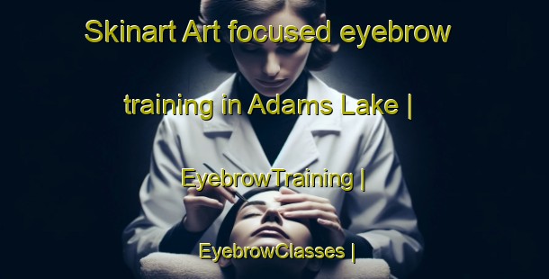 Skinart Art-focused eyebrow training in Adams Lake | EyebrowTraining | EyebrowClasses | SkinartTraining-Canada